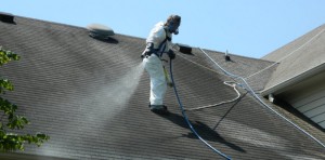 roof-cleaning-team